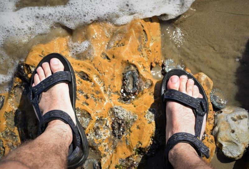 Looking for the Perfect Adventure Sandal in 2023. Check Out the Teva Omnium