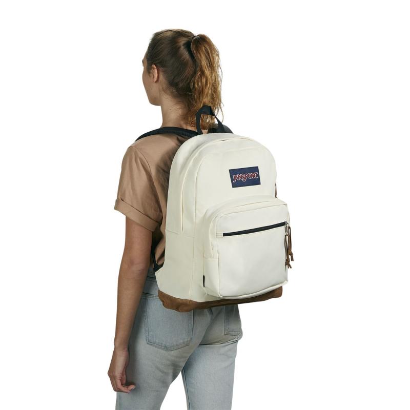 Looking for the Perfect Backpack for School. : Discover Why the Jansport Agave Might Be the One