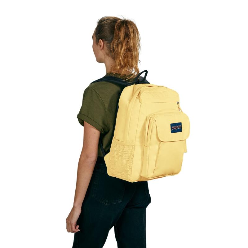 Looking for the Perfect Backpack for School. : Discover Why the Jansport Agave Might Be the One