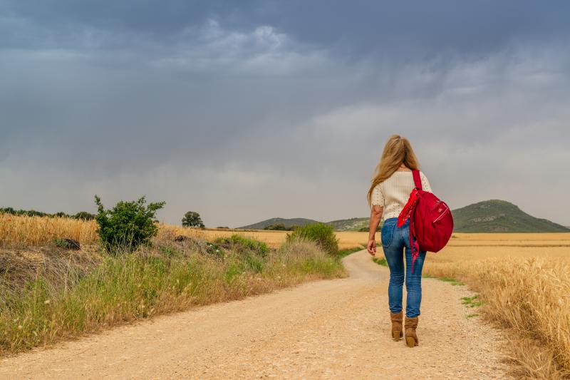 Looking for the Perfect Backpack in 2023. Get the Facts on These Top Models