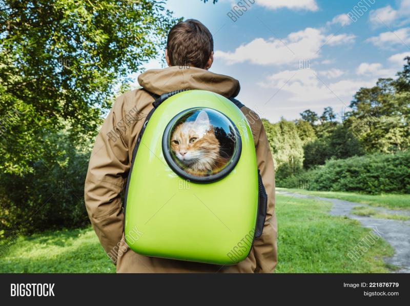 Looking for the Perfect Backpack in 2023. Get the Facts on These Top Models