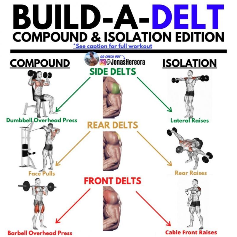 Looking For the Perfect Dumbbell Stand to Organize Your Home Gym. How To Select the Ideal Weight Rack for Strength Training