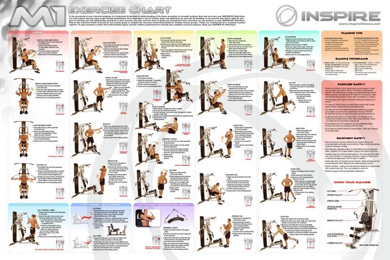 Looking For the Perfect Dumbbell Stand to Organize Your Home Gym. How To Select the Ideal Weight Rack for Strength Training