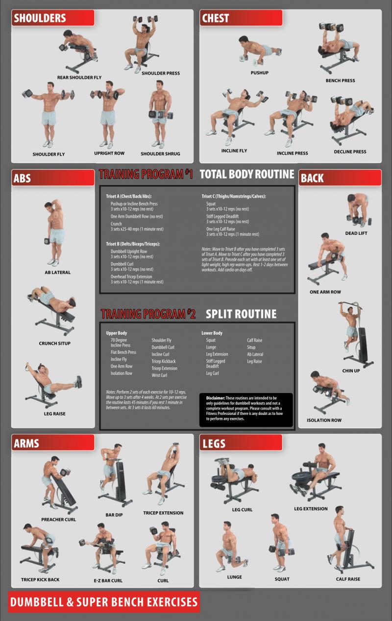 Looking For the Perfect Dumbbell Stand to Organize Your Home Gym. How To Select the Ideal Weight Rack for Strength Training