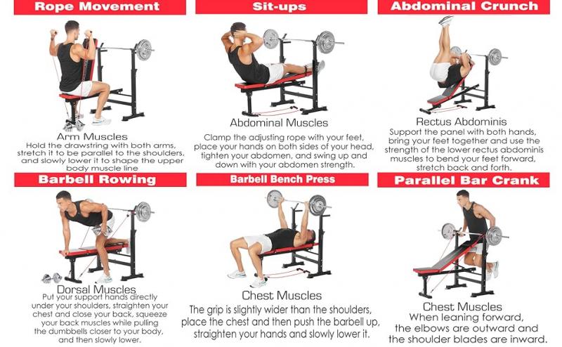 Looking For the Perfect Dumbbell Stand to Organize Your Home Gym. How To Select the Ideal Weight Rack for Strength Training