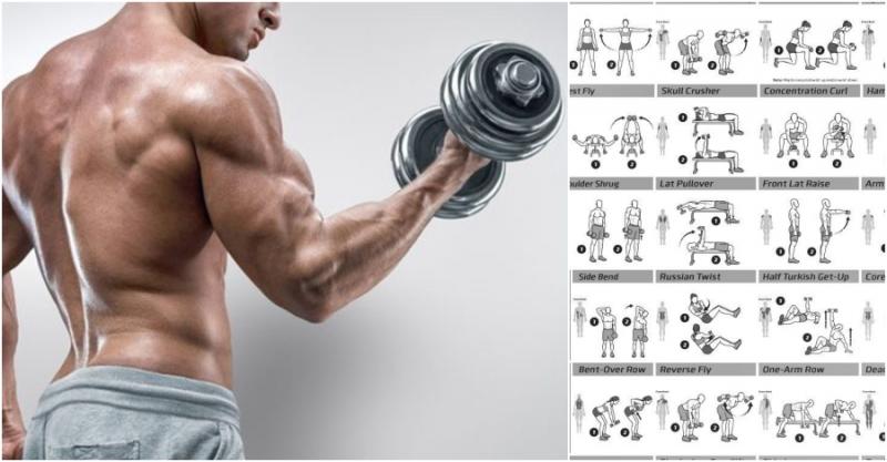 Looking For the Perfect Dumbbell Stand to Organize Your Home Gym. How To Select the Ideal Weight Rack for Strength Training