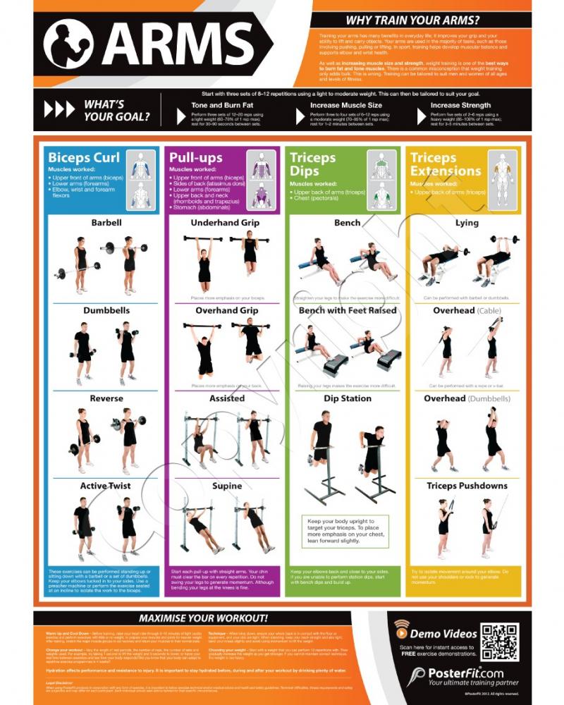 Looking For the Perfect Dumbbell Stand to Organize Your Home Gym. How To Select the Ideal Weight Rack for Strength Training