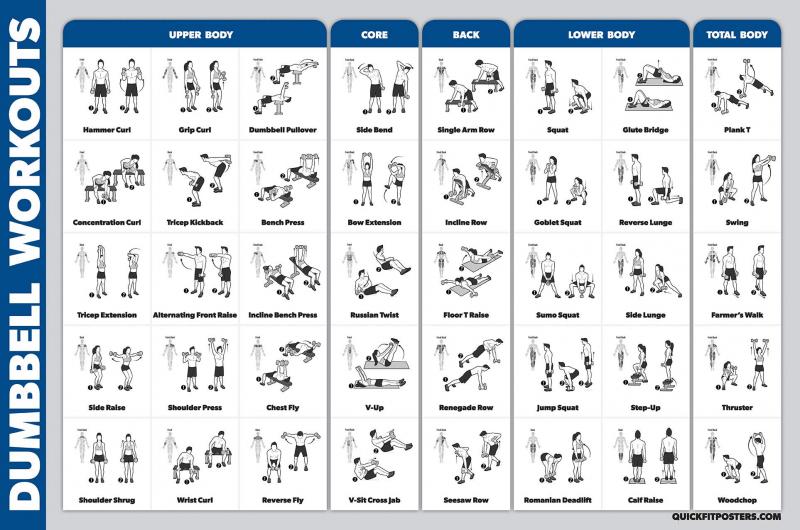 Looking For the Perfect Dumbbell Stand to Organize Your Home Gym. How To Select the Ideal Weight Rack for Strength Training