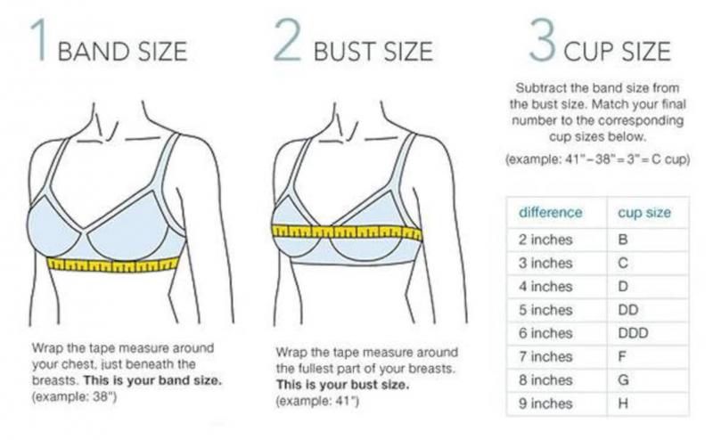Looking for the Perfect Low Impact Sports Bra. 15 Must-Have Features in a Comfy, Low-Cut Bra: The Only Guide You Need