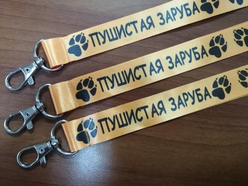 Looking for the Perfect Raiders Lanyard. Discover 15 Must-Have Features in 2023