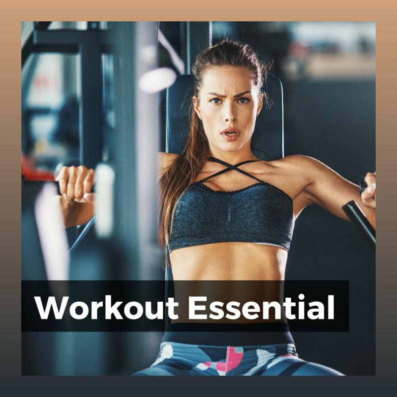 Looking for the Perfect Red Gym Shorts This Summer. Try These Workout Essentials