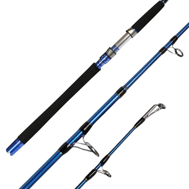 Looking for the Perfect Saltwater Fishing Rod. : Discover the Top Rods for 2023