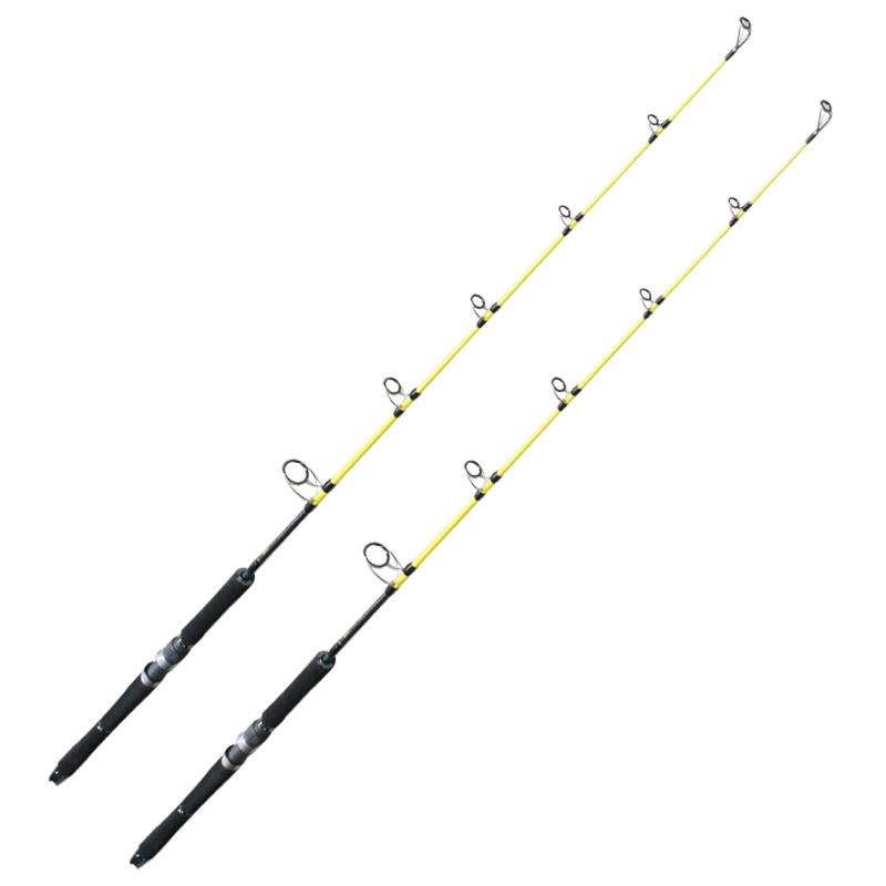 Looking for the Perfect Saltwater Fishing Rod. : Discover the Top Rods for 2023