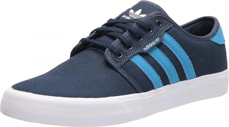 Looking for the Perfect Skate Shoe. Try Adidas Seeley XT