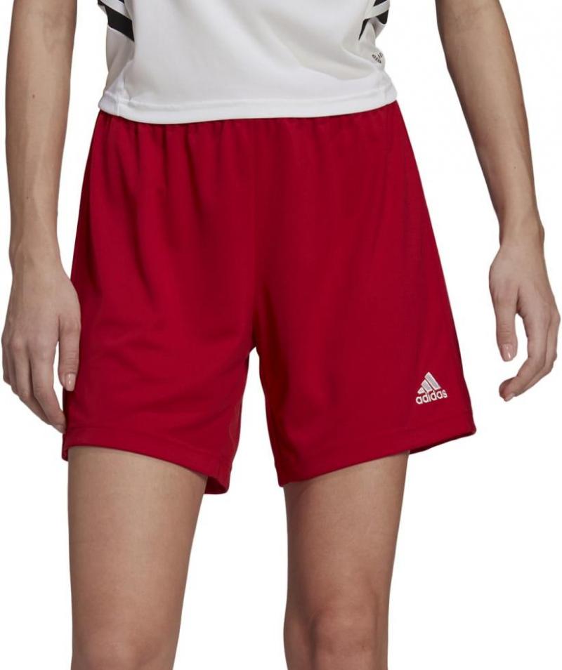 Looking for the Perfect Soccer Shorts for Your Child. Discover Adidas Team Parma 16 Shorts Here