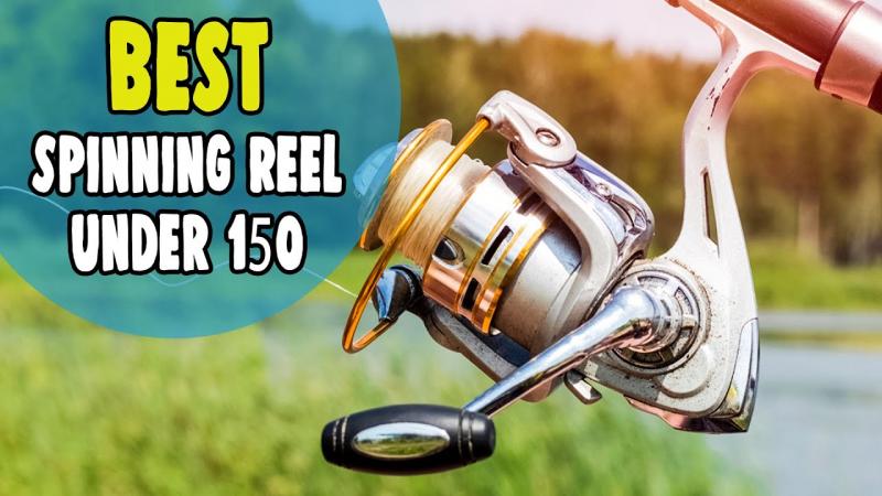 Looking for The Perfect Spinning Combo in 2023. Find Daiwa