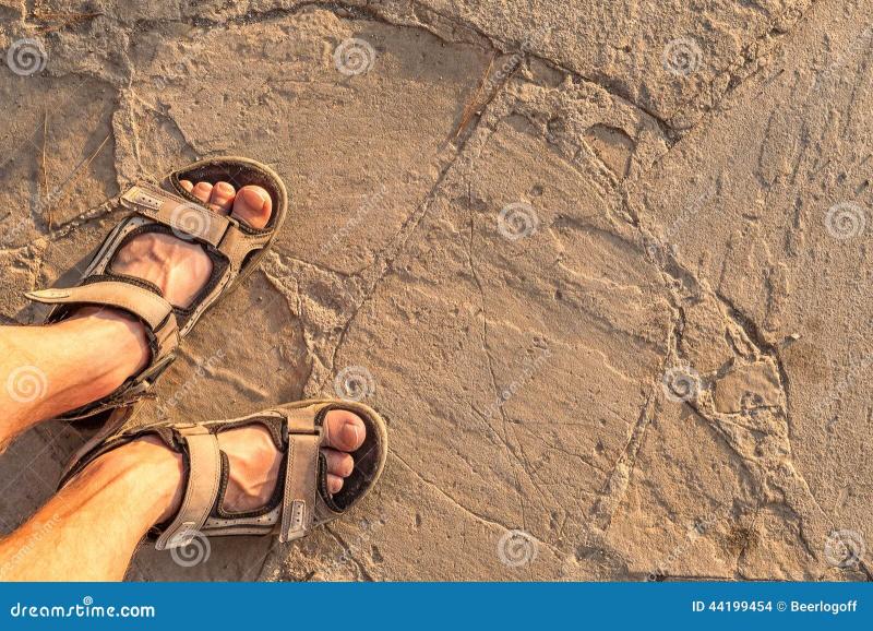 Looking for The Perfect Summer Sandals for Men: Why Teva Pájaro Are the Best