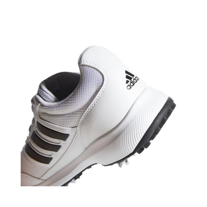 Looking for the Perfect Women