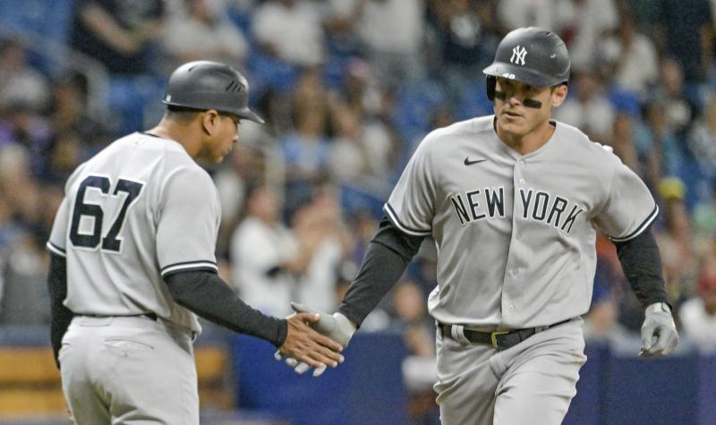 Looking for the Perfect Yankees Gift This Season. Discover the Top 15 Yankees Tervis Tumblers That Every Fan Will Love