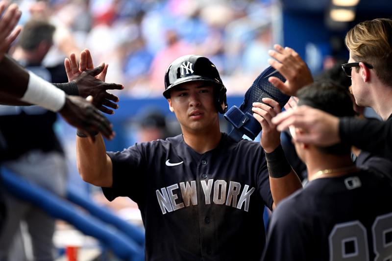 Looking for the Perfect Yankees Gift This Season. Discover the Top 15 Yankees Tervis Tumblers That Every Fan Will Love