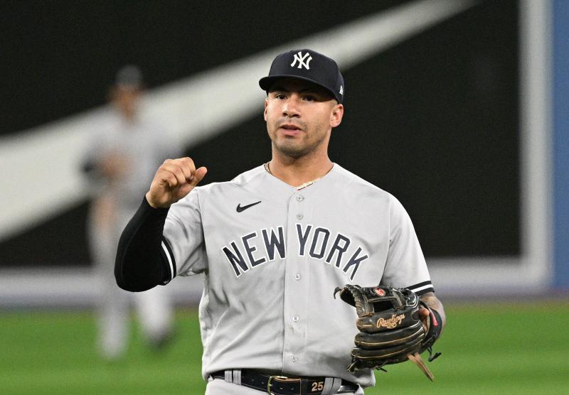 Looking for the Perfect Yankees Gift This Season. Discover the Top 15 Yankees Tervis Tumblers That Every Fan Will Love