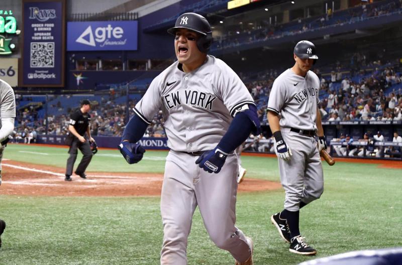 Looking for the Perfect Yankees Gift This Season. Discover the Top 15 Yankees Tervis Tumblers That Every Fan Will Love