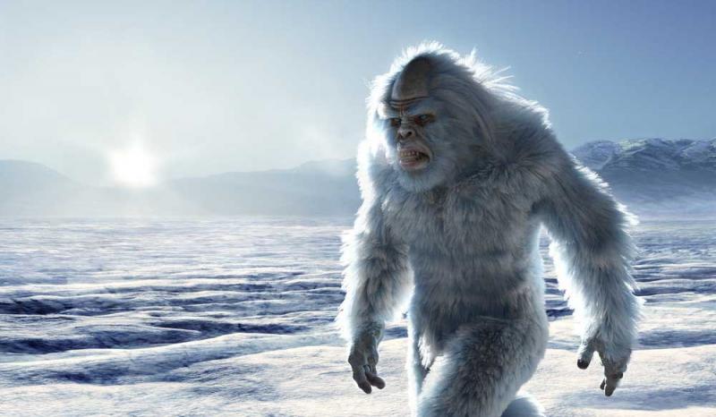 Looking For The Perfect Yeti To Quench Your Thirst. Discover The Top White Yeti Coolers Of 2022