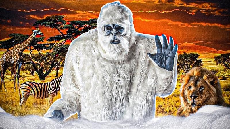Looking For The Perfect Yeti To Quench Your Thirst. Discover The Top White Yeti Coolers Of 2022