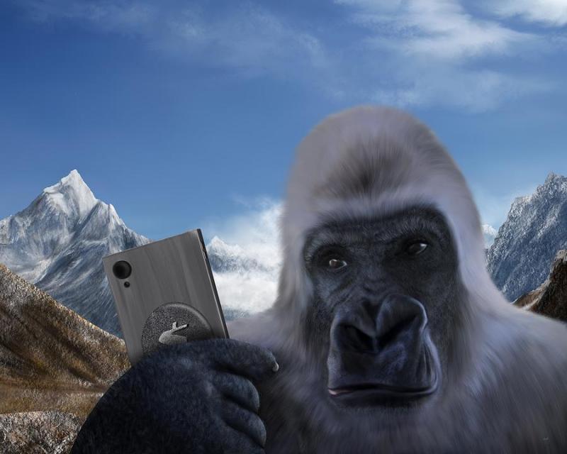 Looking For The Perfect Yeti To Quench Your Thirst. Discover The Top White Yeti Coolers Of 2022
