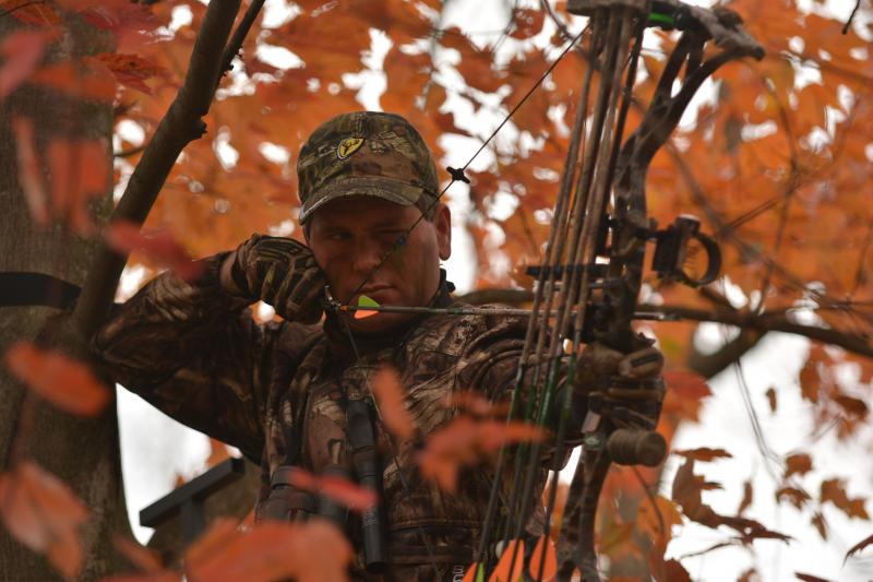 Looking for Tree Stand Deals This Hunting Season