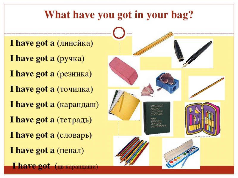 Looking for University of Tampa Gear This School Year. Check Out These Must-Have Items