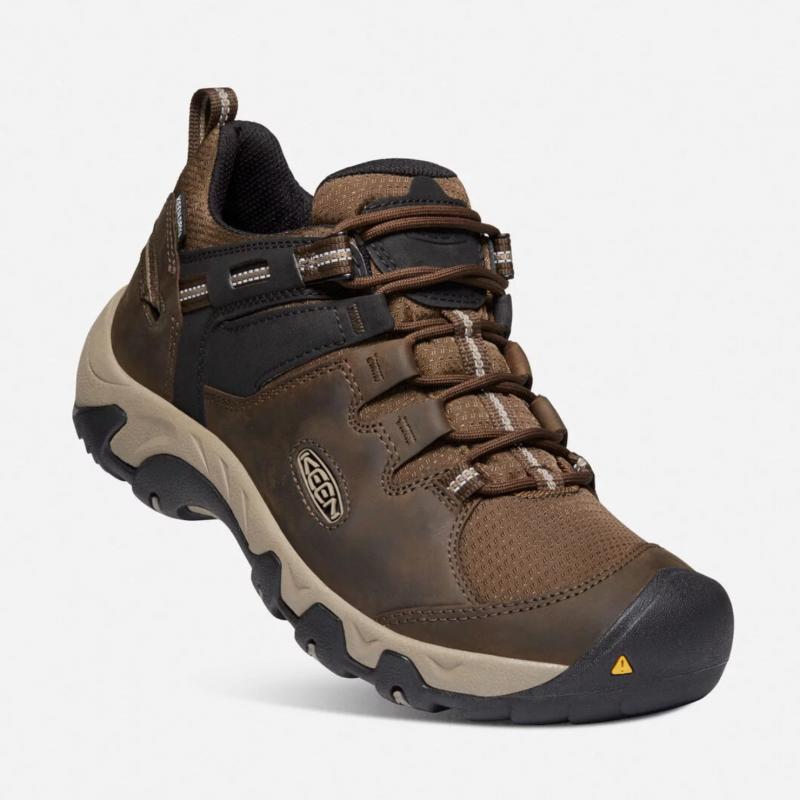 Looking for Waterproof Hiking Shoes. Discover The Best Keen Dry Options