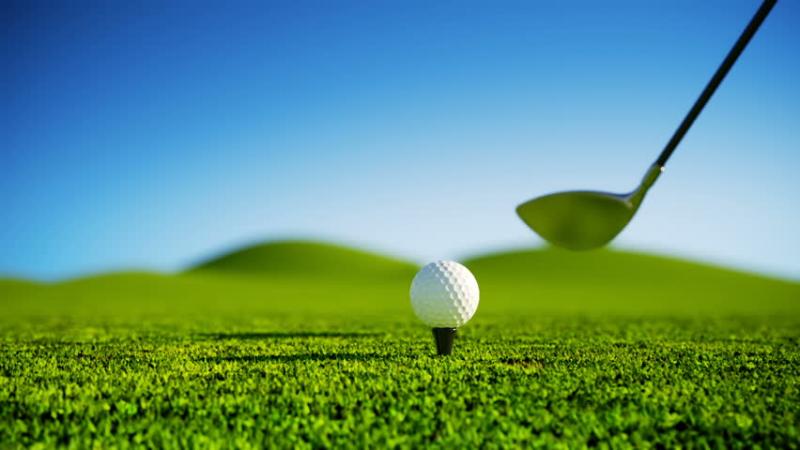 Looking for Your Perfect Set of Cobra Golf Clubs for Women. Here are the 15 Most Important Factors to Consider