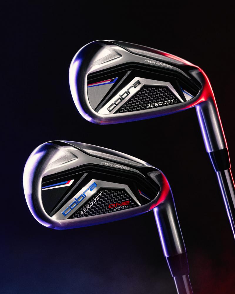 Looking for Your Perfect Set of Cobra Golf Clubs for Women. Here are the 15 Most Important Factors to Consider