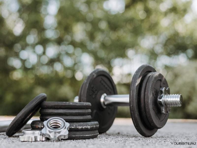 Looking to Add Light Weights to Your Home Gym: Why 4 Pound Dumbbells Are a Smart Buy