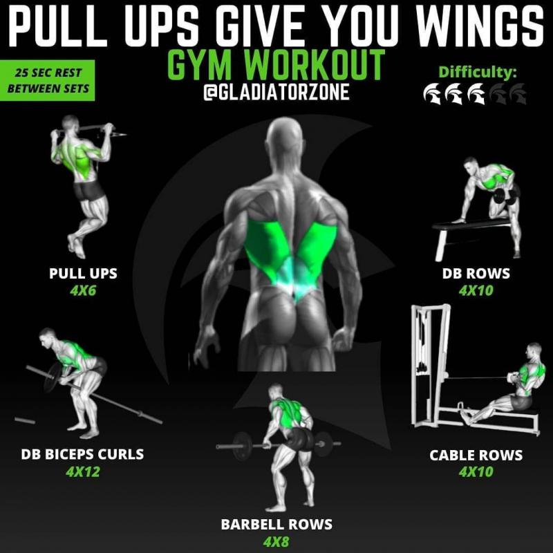 Looking to Add Resistance to Your Workouts: Discover the Recoil 360 Trainer