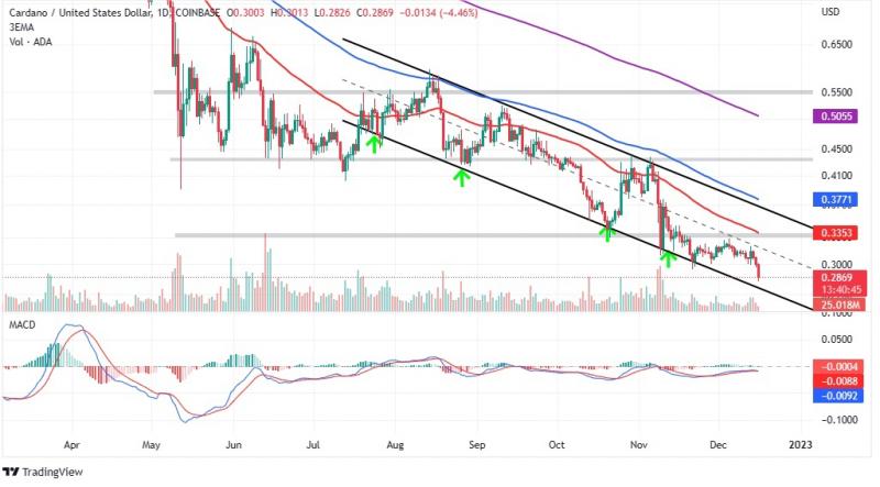 Looking to Automate Your Trading in 2023. New StockWatch:One May Be the Answer
