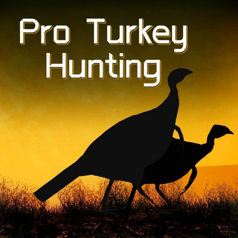 Looking to Bag That Spring Gobbler. Find the Best Turkey Hunting Gear On Sale Now
