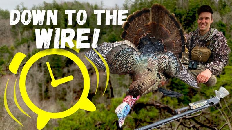 Looking to Bag That Spring Gobbler. Find the Best Turkey Hunting Gear On Sale Now
