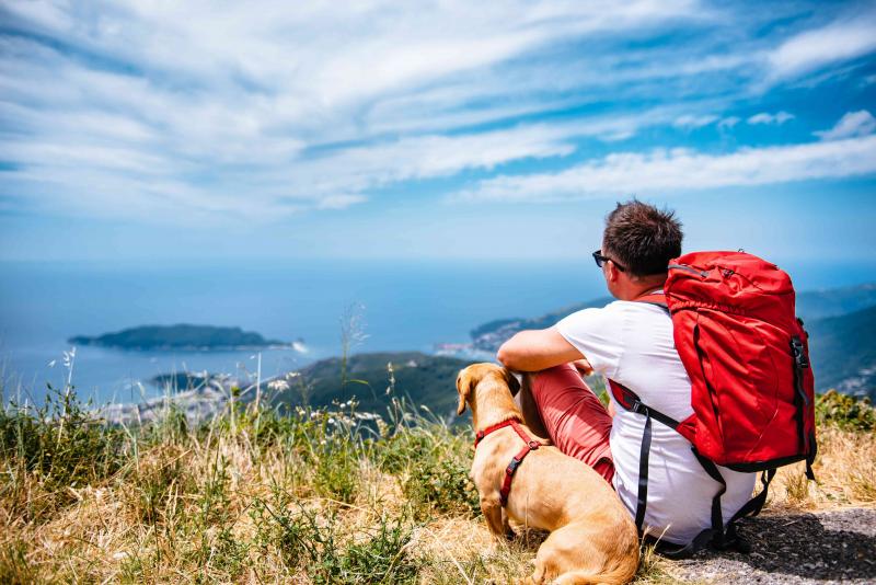 Looking to Beat the Heat on the Trail This Summer. Find the: Best Hiking Shirts for Hot Weather in 2023