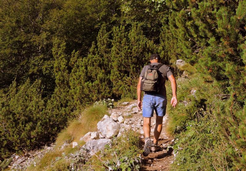 Looking to Beat the Heat on the Trail This Summer. Find the: Best Hiking Shirts for Hot Weather in 2023