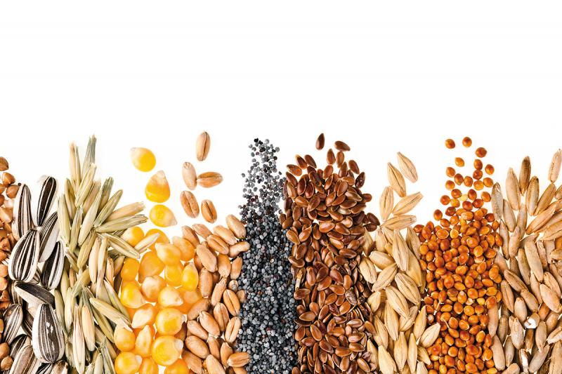Looking to Boost Your Health This Year. Try These 15 Surprising Sunflower Seed Superfoods