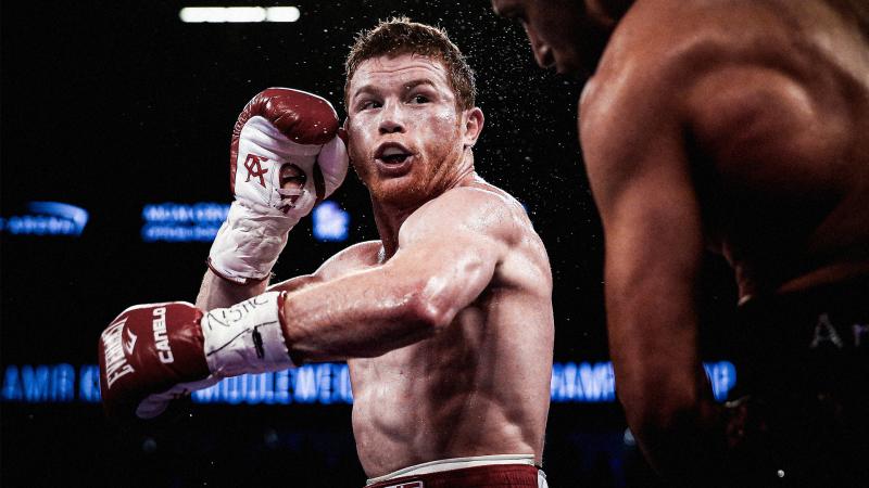Looking to Box This Year. 15 Must-Know Tips For Choosing Boxing Shorts