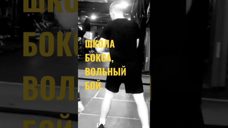 Looking to Box This Year. 15 Must-Know Tips For Choosing Boxing Shorts
