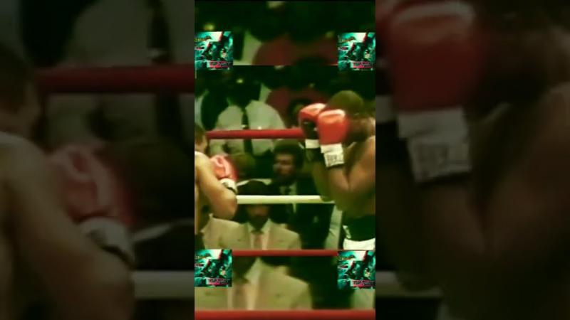 Looking to Box This Year. 15 Must-Know Tips For Choosing Boxing Shorts