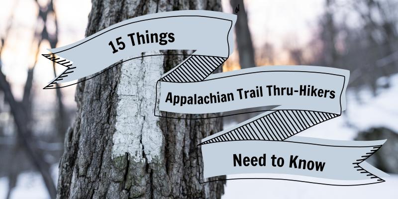 Looking to Buy a 60 Meter Rope. Check Out These 15 Crucial Things to Know First