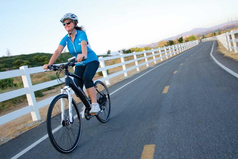 Looking to Buy a Bike Trailer. 15 Must-Know Tips Before Your Purchase