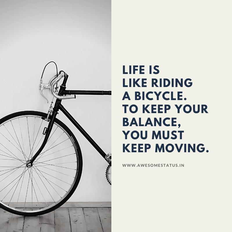 Looking to Buy a Bike Trailer. 15 Must-Know Tips Before Your Purchase