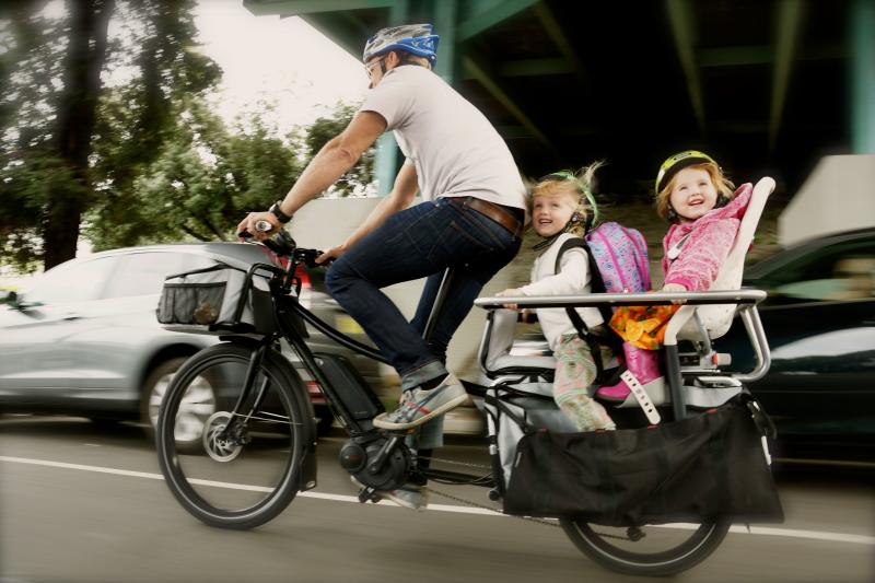 Looking to Buy a Bike Trailer. 15 Must-Know Tips Before Your Purchase