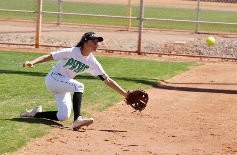 Looking to Buy a Canopy for Softball in 2023. Discover Our Top Picks Here